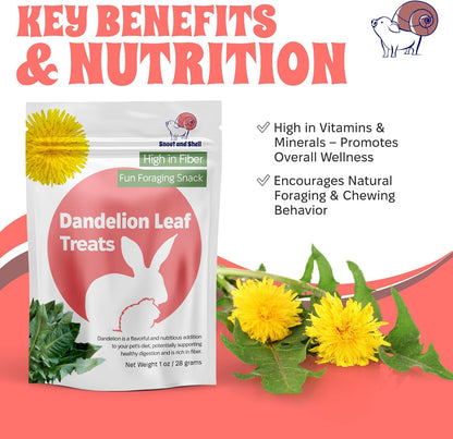 Snout and Shell Dandelion Leaf Treat for Small Pets – 1 oz (28g) | High-Fiber, Natural Foraging