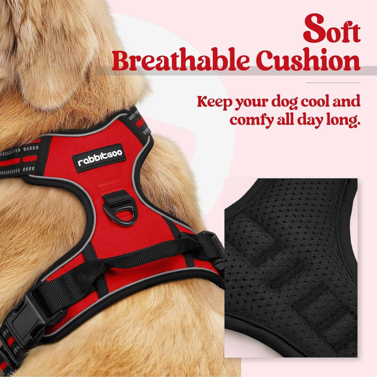 rabbitgoo Dog Harness No Pull with 2 Leash Clips, Adjustable Soft Padded, Reflective Oxford No