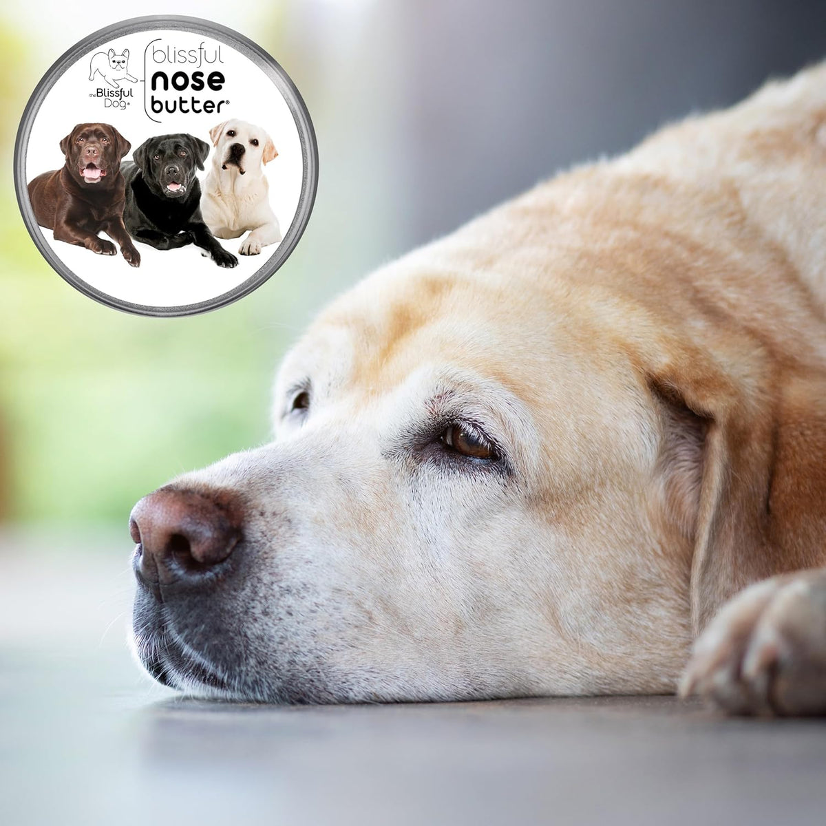 The Blissful Dog Labrador Retriever Nose Butter, Versatile Dog Nose Balm for Dry Nose, Handcrafted