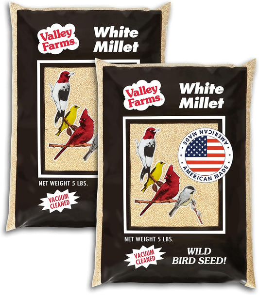 Valley Farms White Millet Wild Bird Seed 5 LB 2-Pack (10 LB Total) for Outside feeders, White proso
