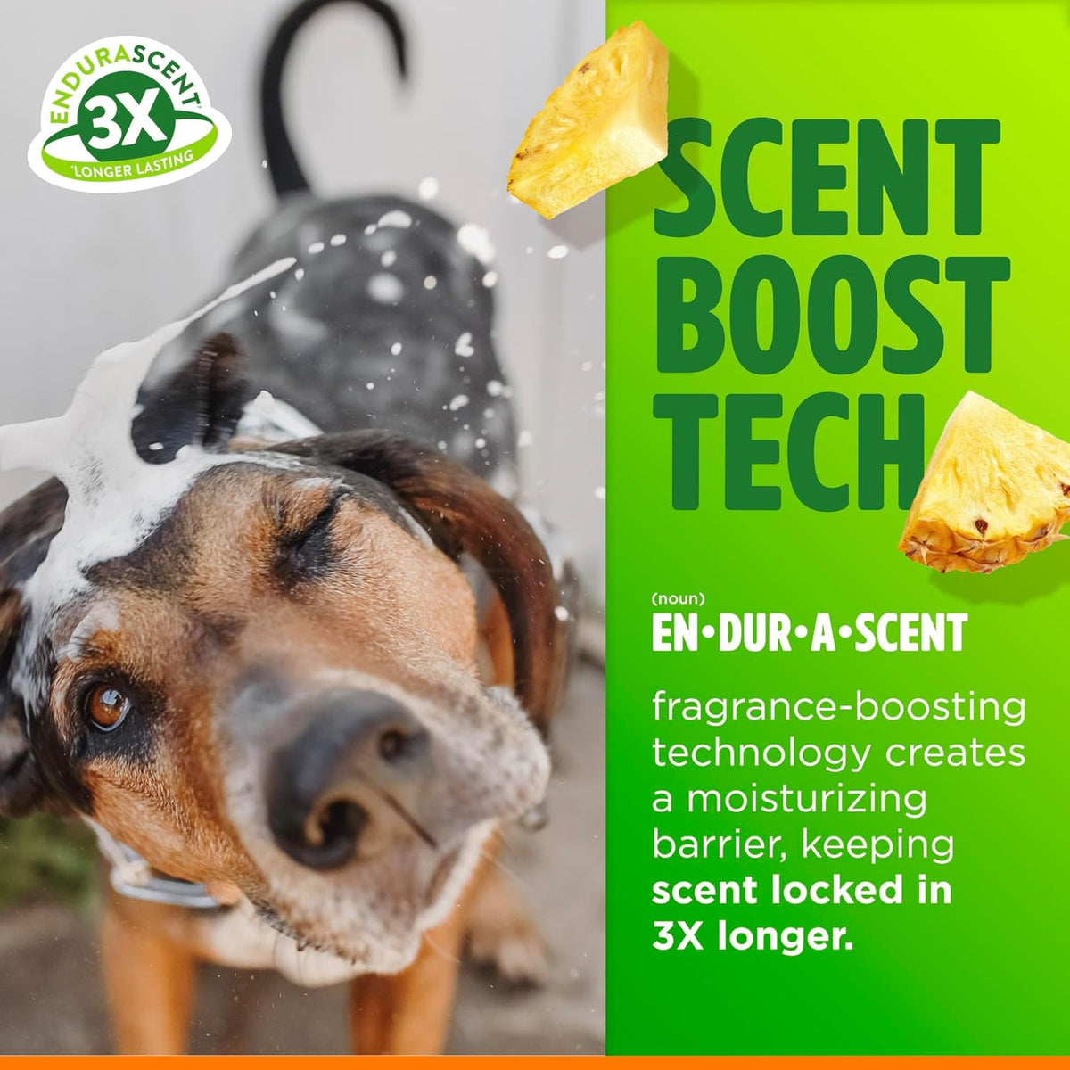 TropiClean Itch Relief Dog Shampoo, Powerful Odor Control, Long-Lasting Pineapple Scent, Puppy