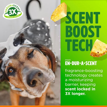 TropiClean Itch Relief Dog Shampoo, Powerful Odor Control, Long-Lasting Pineapple Scent, Puppy