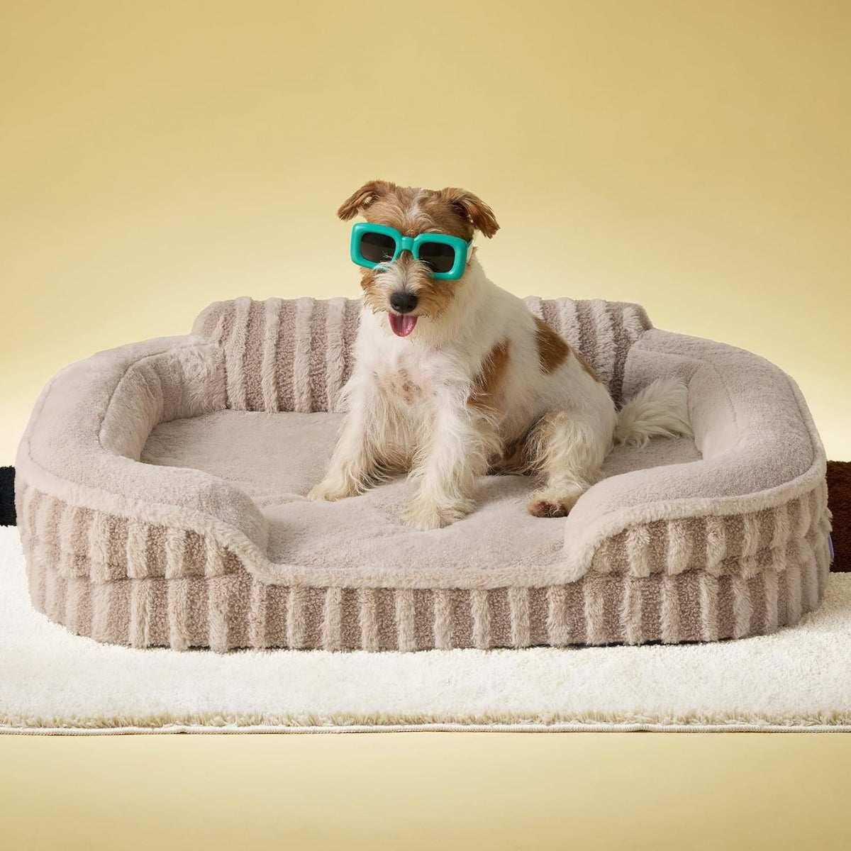 LE SURE Cute Dog Bed Medium Size Dog, Orthopedic Waterproof Medium Pet Beds with Sides, Non-Slip