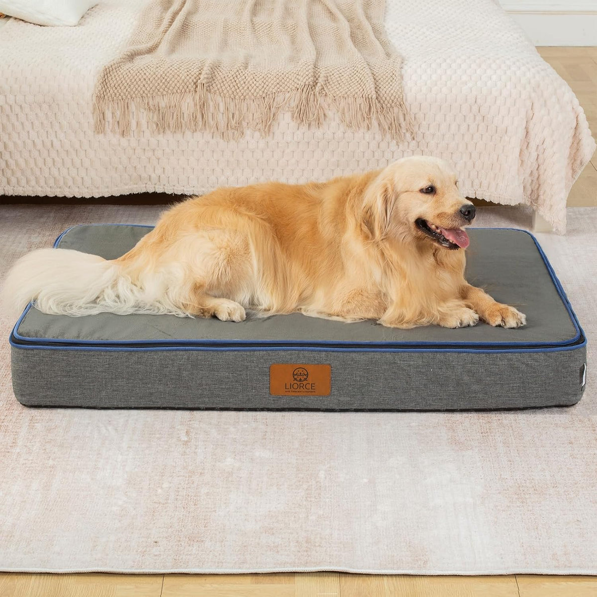 Orthopedic Memory Foam XXL Dog Bed - 6" Thick Beds for Extra Large Sized Dog - Waterproof Removable
