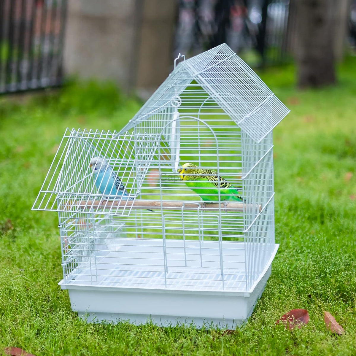 Small Bird Travel Cage - The Lightweight Small Birds Starter Kit with Birdcages and Accessories