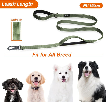 TwoEar 5FT 1IN Strong Green Dog Leash with 2 Padded Handles, Traffic Handle Extra Control