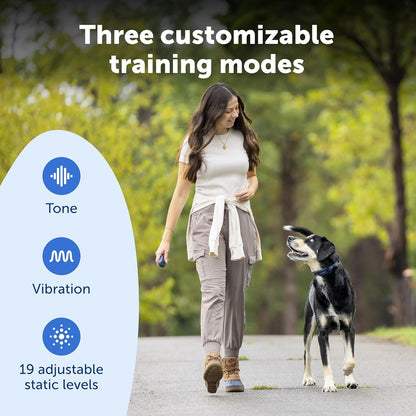 PetSafe Pro Dog Trainer with Remote – Waterproof Training Collar – 1000 ft Range – Tone, Vibration