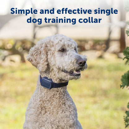 PetSafe Basic Dog Trainer with Remote – Waterproof Training Collar – 300 ft Range – Tone, Vibration