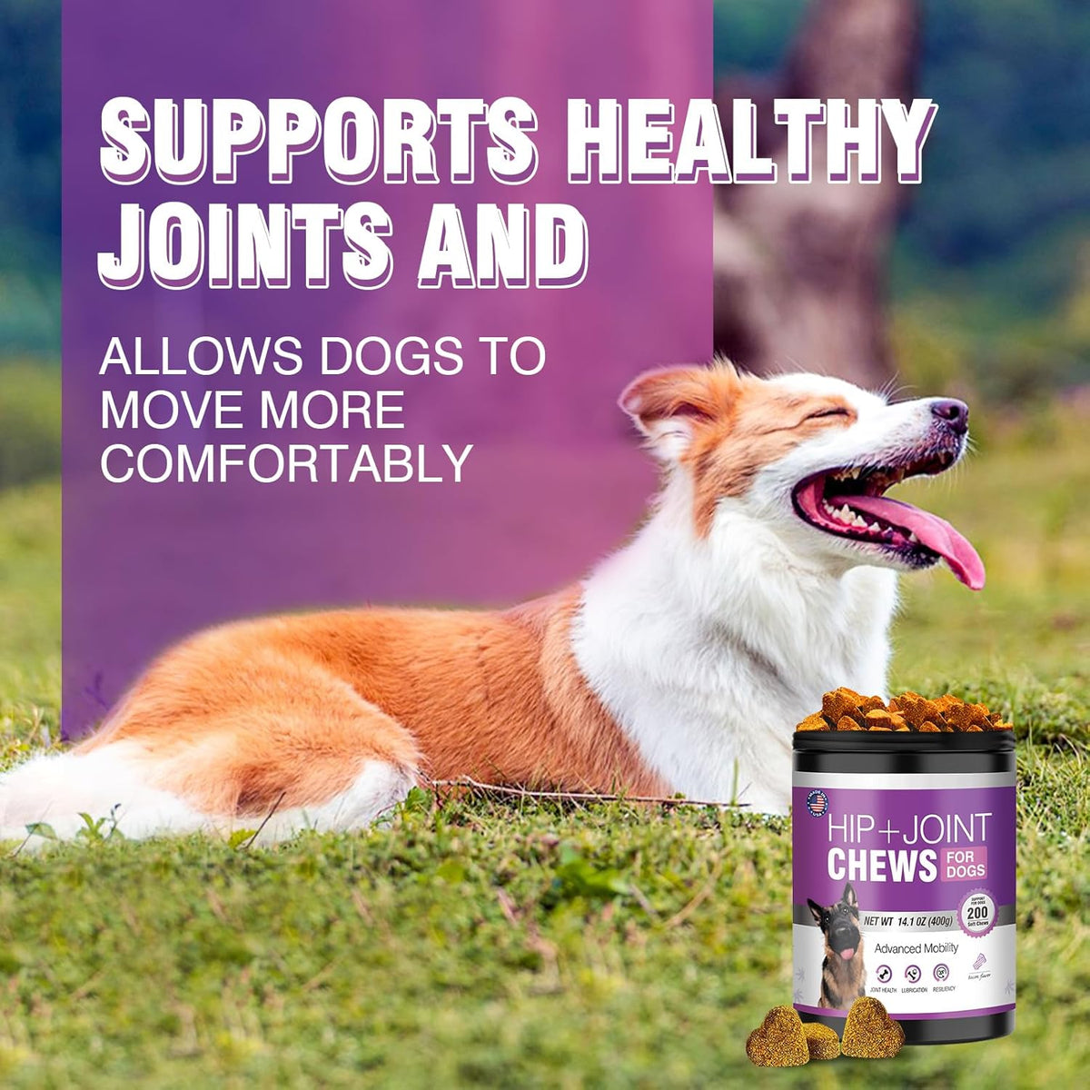 Glucosamine for Dogs 200pcs Joint Support Supplement Dog Hip and Joint Chondroitin Chews Treats