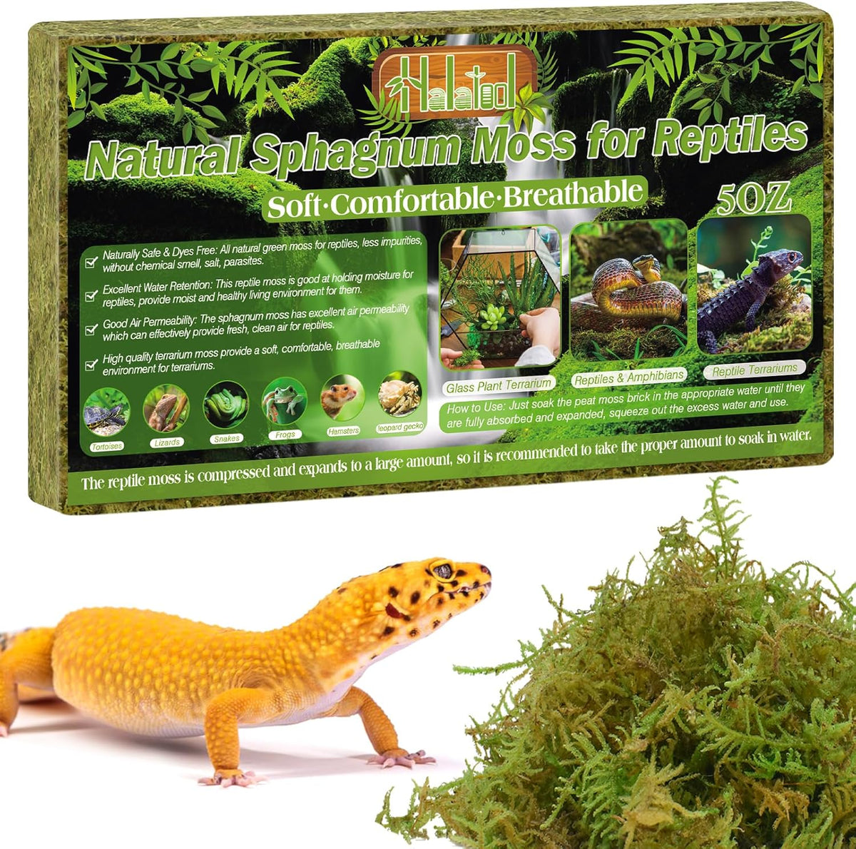 Halatool 5OZ Natural Sphagnum Moss for Reptiles- 8QT Green Live Moss for Terrarium Plants Long