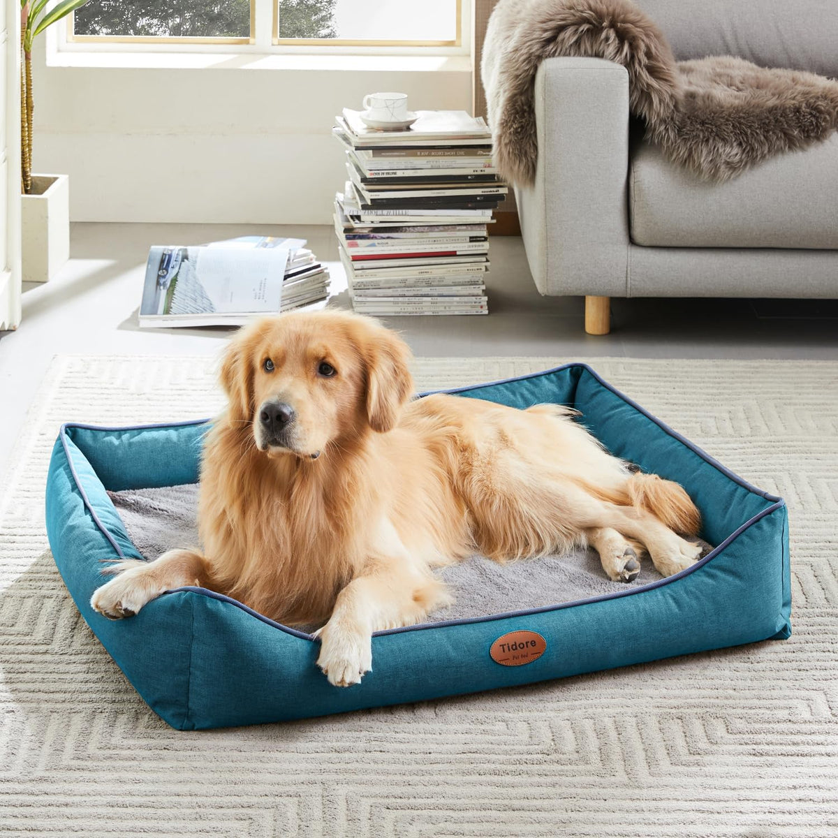 Orthopedic Dog Beds for Medium Dogs, Durable Egg Crate Foam Sofa Dog Bed wit Washable Removable