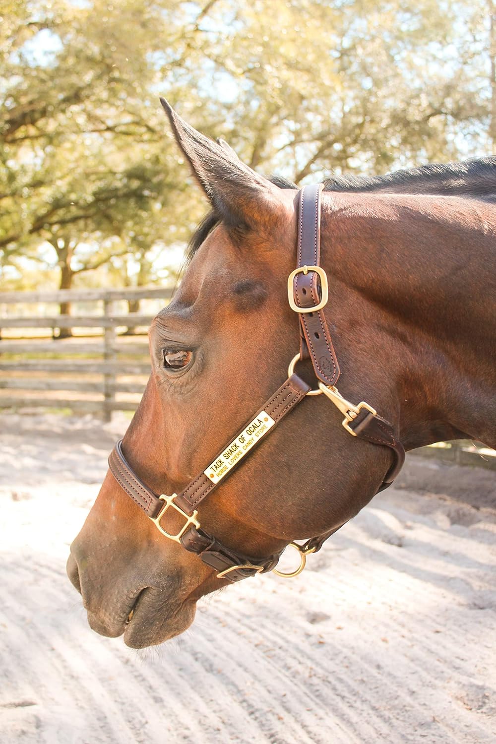Leather Halter for Horses with Customized Engraved Name Plate Option Halter for Horse |
