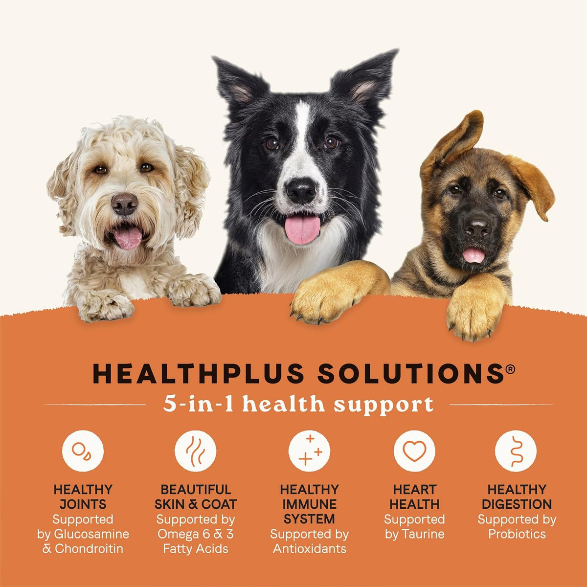 Canidae All Life Stages Real Salmon & Ancient Grains Recipe – High Protein Premium Dry Dog Food for