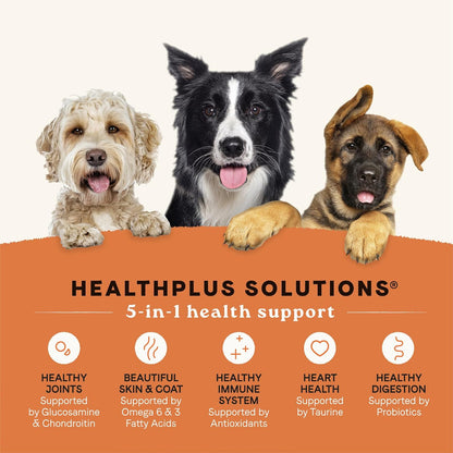 Canidae All Life Stages Real Salmon & Ancient Grains Recipe – High Protein Premium Dry Dog Food for