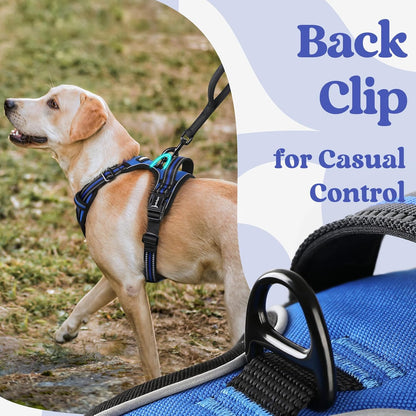 rabbitgoo Dog Harness Small Sized, No Pull Pet Harness with 3 Buckles, Adjustable Soft Padded Vest