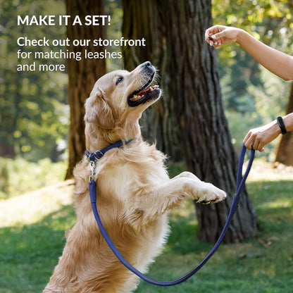 CollarDirect Rolled Leather Dog Collar, Soft Padded Round Puppy Collar, Handmade Genuine Leather