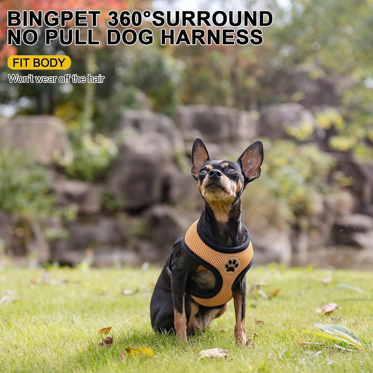 BINGPET No Pull Dog Harness, Soft Mesh Breathable All Weather Vest, Safety Protection Design