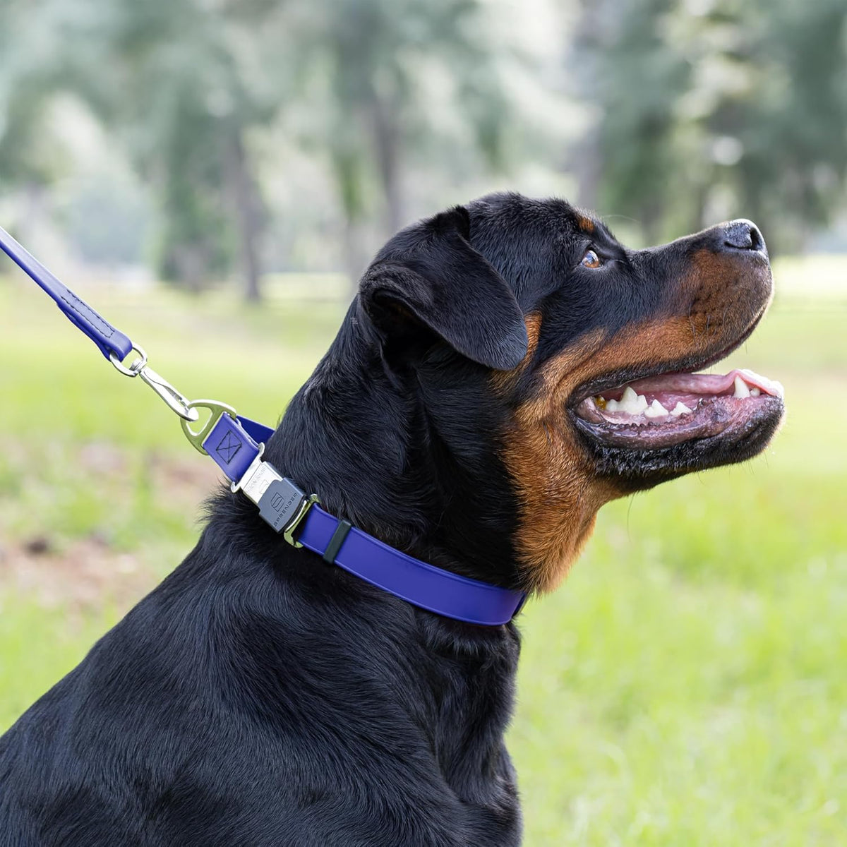 Dogline Biothane Waterproof Dog Collar with Herm Sprenger Stainless Steel Quick Release Buckle