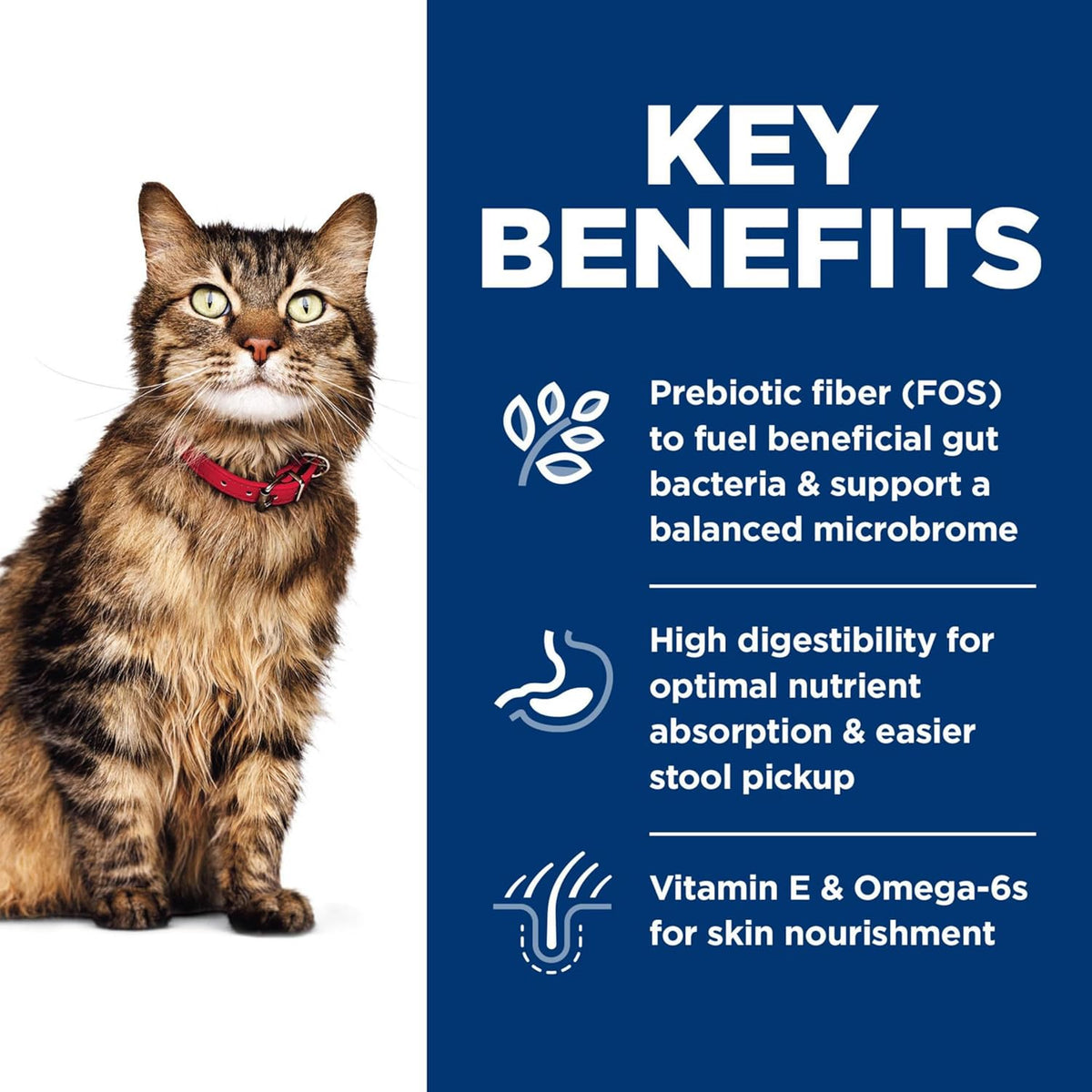 Hill's Science Diet Sensitive Stomach & Skin, Adult 1-6, Stomach & Skin Sensitivity Support, Dry