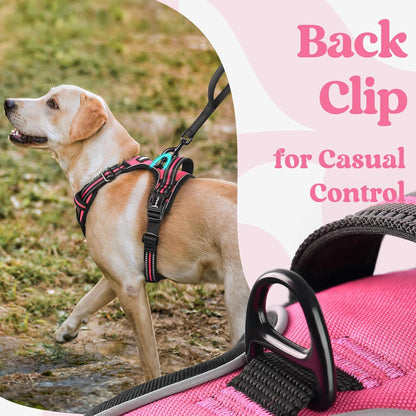rabbitgoo Dog Harness for Large, No Pull Pet Harness with 3 Buckles, Adjustable Soft Padded Vest