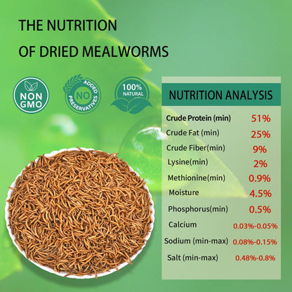 Dried Mealworms 5LB Pure Natural Non-GMO Mealworms for Chickens High Protein Chickens Feed Meal