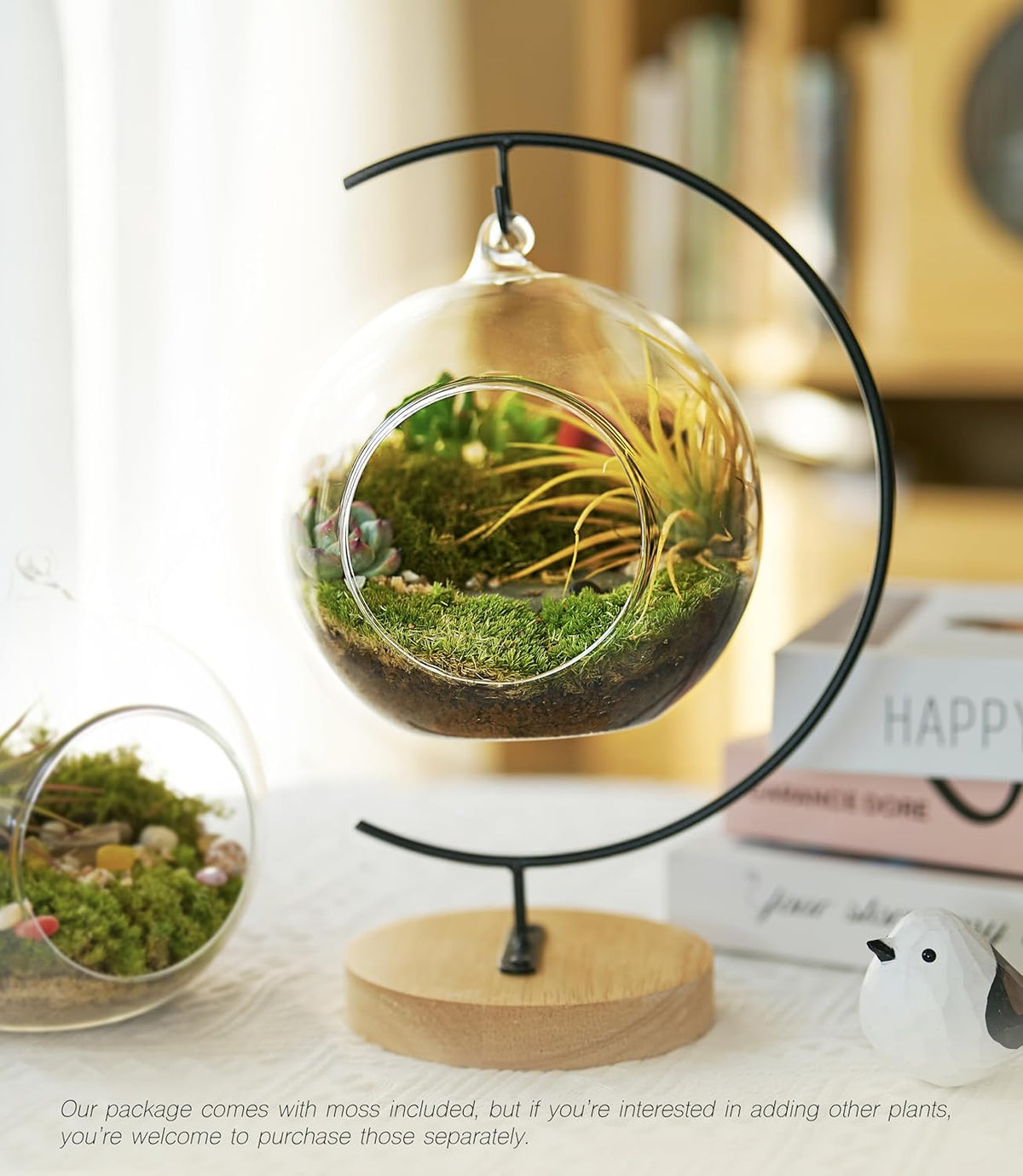 15-Piece Terrarium Kit with Live Moss – DIY Glass Globe Set with Tools, Soil, Stones & Spray Bottle