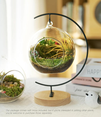 15-Piece Terrarium Kit with Live Moss – DIY Glass Globe Set with Tools, Soil, Stones & Spray Bottle