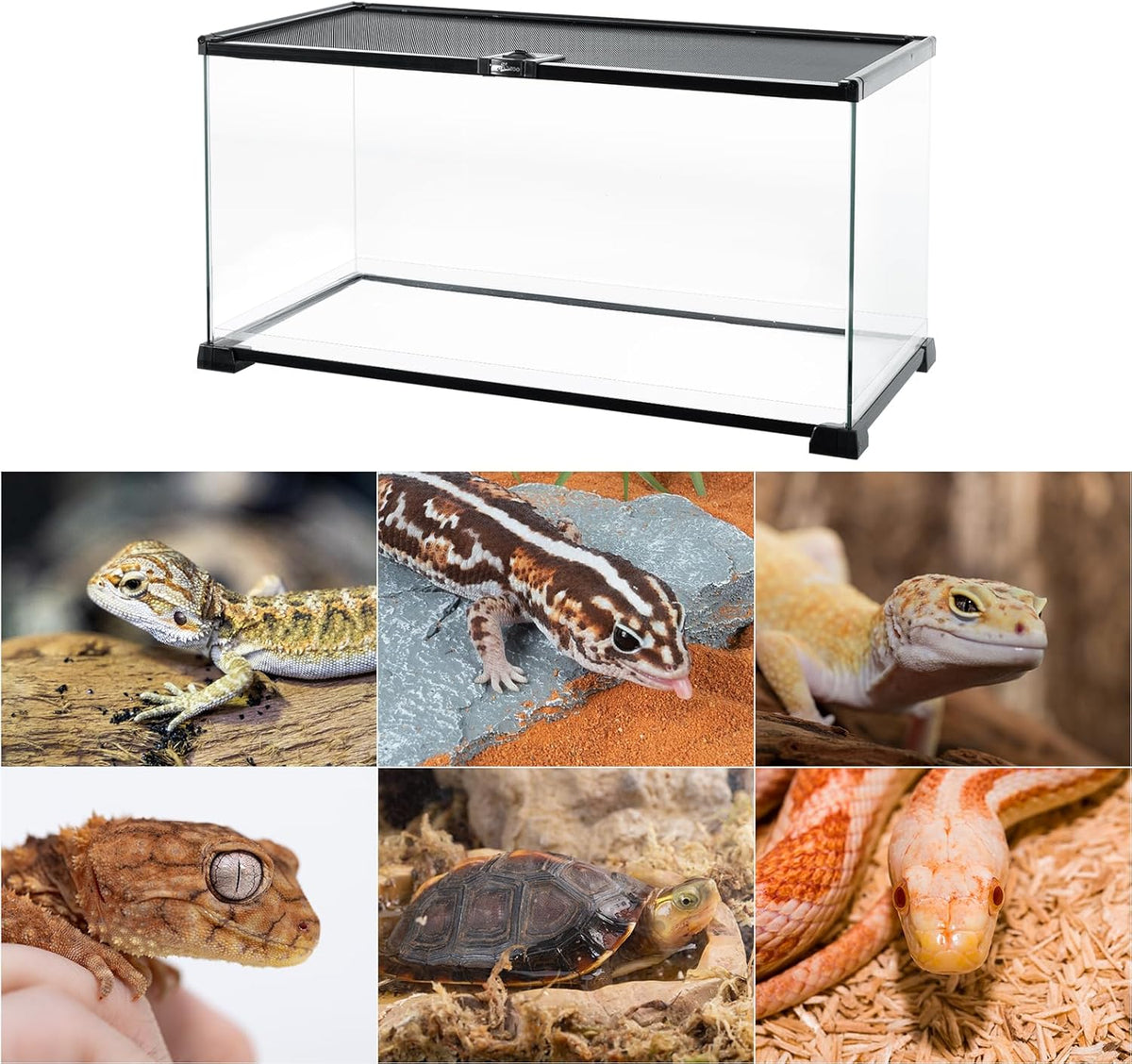 REPTI ZOO Full Glass 15 Gallon Reptile Tank, Medium Reptile Terrarium 24" X 12" X 12" for Gecko