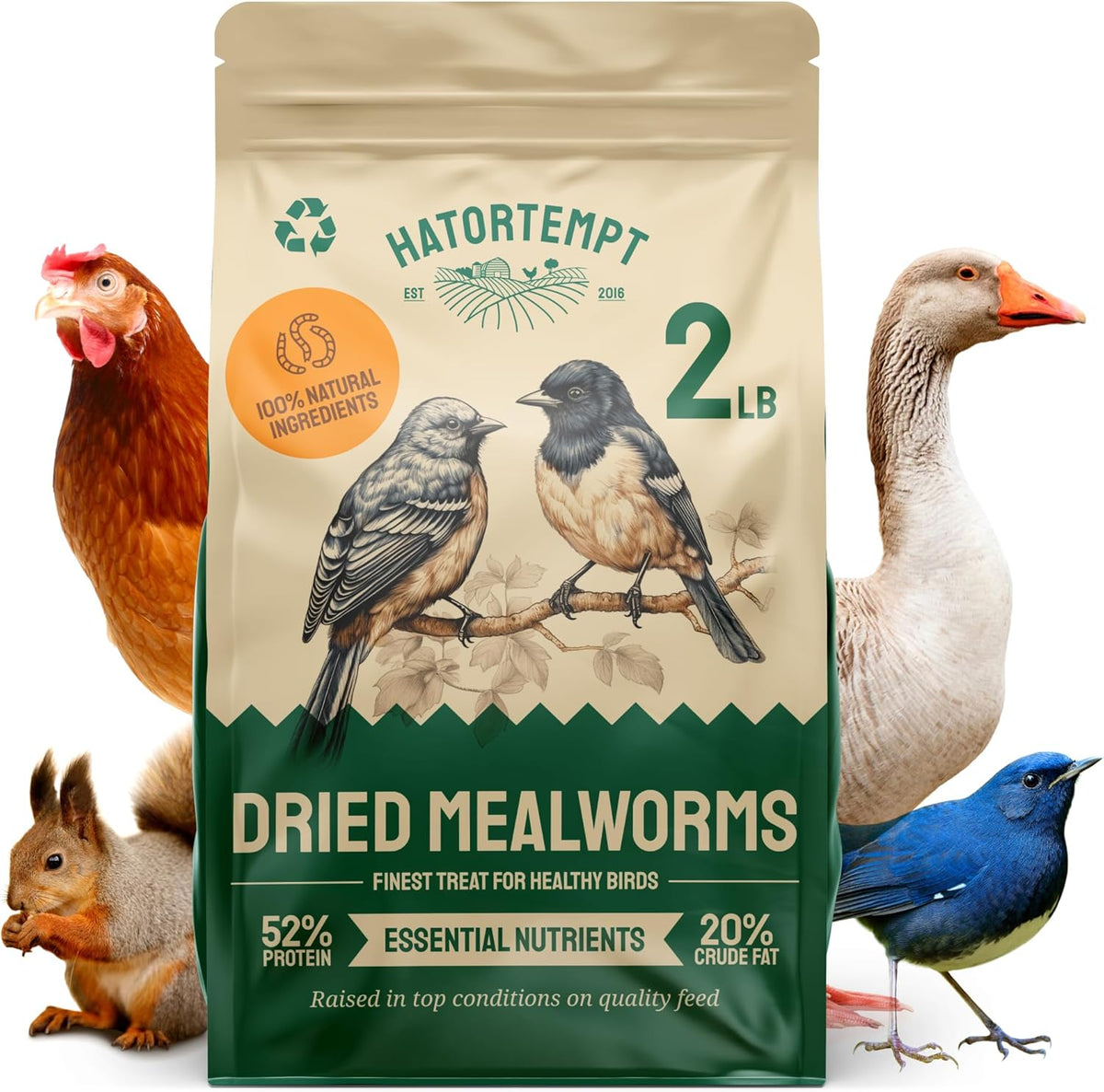 Dried Mealworms - 2 Lb Bag - High Protein Chicken Feed, Mealworms for Birds & Chickens - Meal Worms