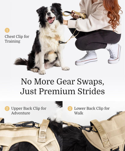 2025 New Edition, Fei & Eve MagEase Dog Harness - 3-Second Magnetic Buckles | 3-Point No-Pull