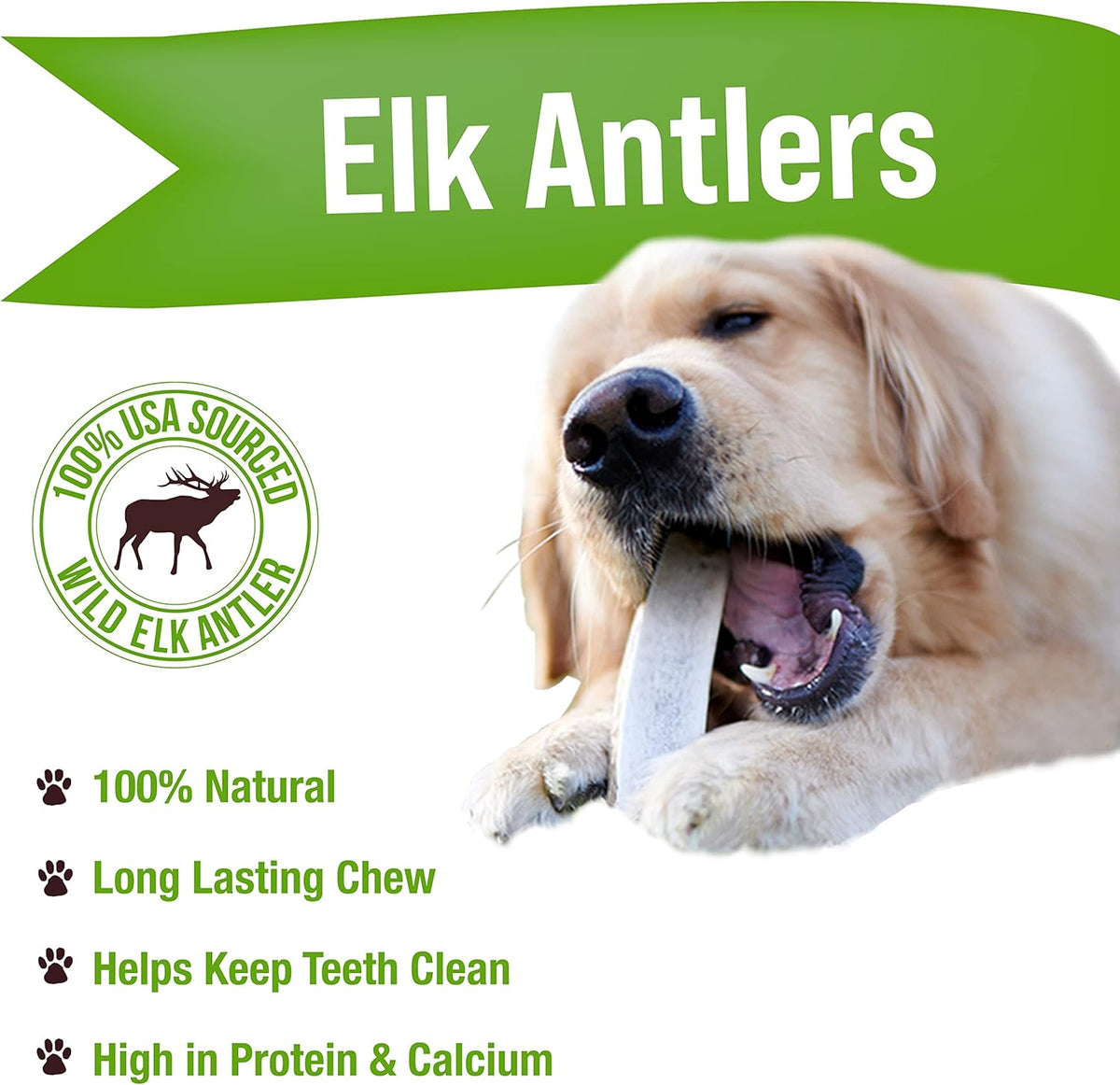 Buck Bone Organics Dog Chews, Elk Antlers for Dogs, Long Lasting Dog Bones for Aggressive Chewers
