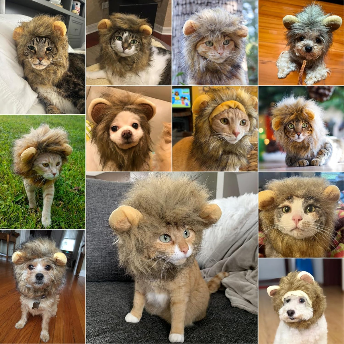 Enjoying Cat Lion Mane Costume, Small Dogs Halloween Outfit, Lion Mane Wig for Cat Cosplay, Kitten
