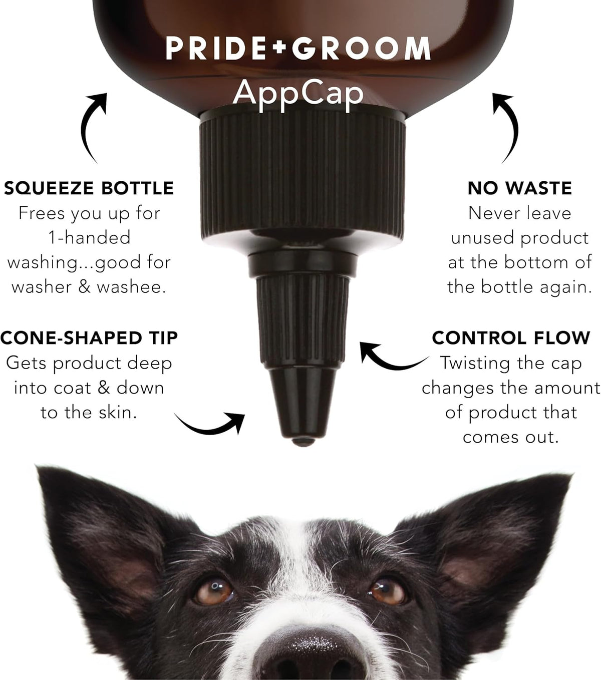 Pride and Groom The Sensitive One Box Set – Dog Shampoo & Conditioner with All Natural Blend of