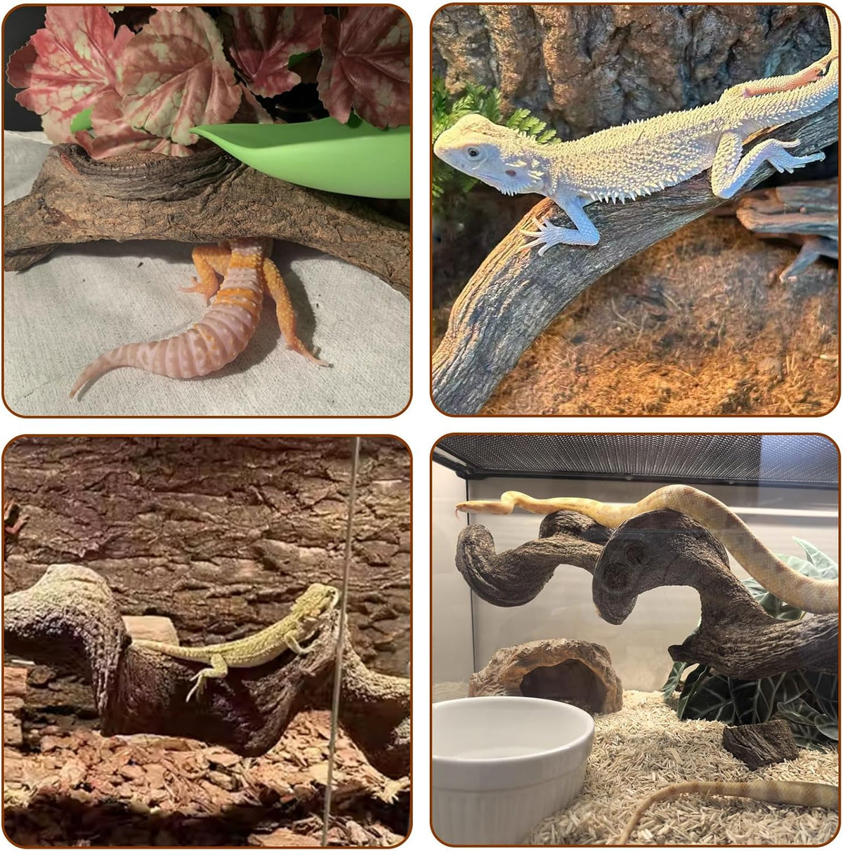 BNOSDM 3Pcs Reptile Climbing Branches Decor,Snake Climbing Branch,Gecko Climb Wood,Lizard Forest