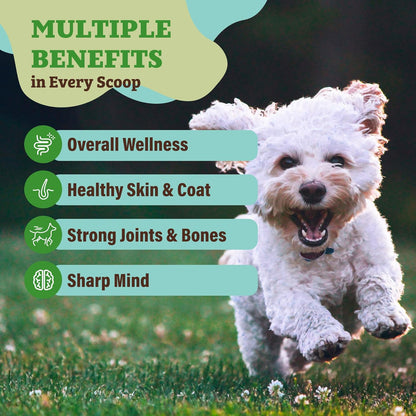 Natural Dog Company Dog Super Greens Food Topper, Dog Multivitamin Powder Vitamins & Supplements