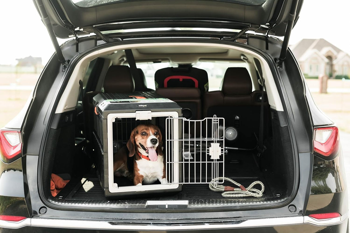 USA Pet Carrier & Crate 26" - Premium Collapsible Design for Medium Cats and Dogs - Portable Kennel