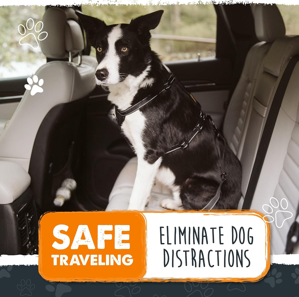 Mighty Paw Dog Seat Belt for Car - Safe Distraction Free Driving, Heavy-Duty Design with Aviation
