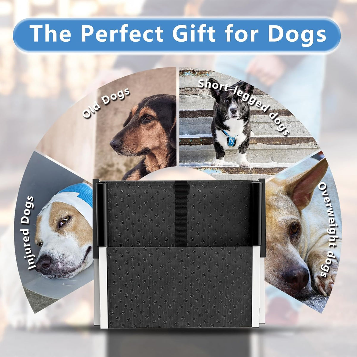 Dog Stairs for Large Dogs - 5 Step Foldable Dog Ramp for Car Non-Slip Surface Support up to 230lbs