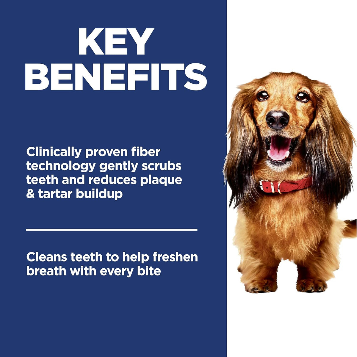 Hill's Science Diet Oral Care, Adult 1-6, Plaque & Tartar Buildup Support, Dry Dog Food, Chicken