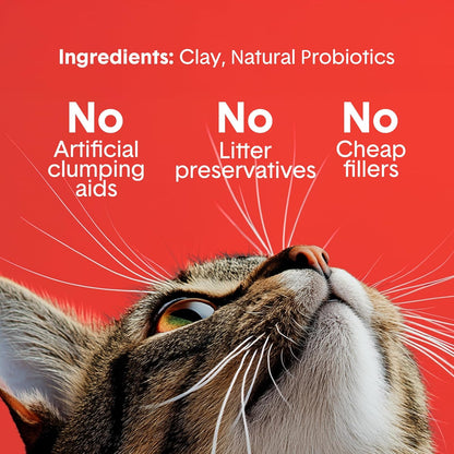 Boxie® Extra Strength 35 Day Odour Control Clumping Clay Cat & Kitty Litter 28lb, 99.9% Dust-Free