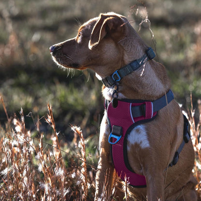 Embark Adventure Dog Harness, Reflective Trim No Pull Dog Harness for Large Dogs - Military Grade