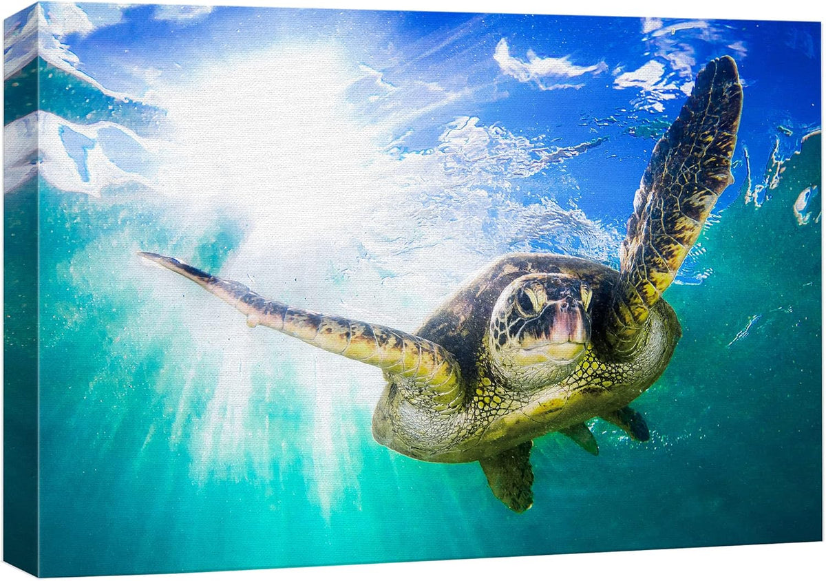 wall26 Canvas Print Wall Art Sunlight Tropical Ocean Underwater Turtle Nature Animals Photography