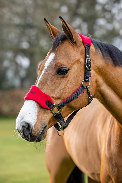 LeMieux Vogue Fleece Headcollar - Halter & Leadrope - Extra Padding, Adjustable at Curb and Poll