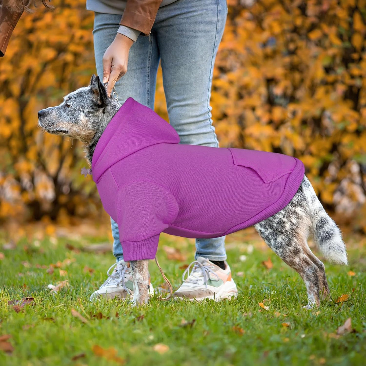 Dog Hoodie Dog Sweaters for Large Dogs Pet Sweater Solid Soft Brushed Fleece Pet Clothes Hoodie