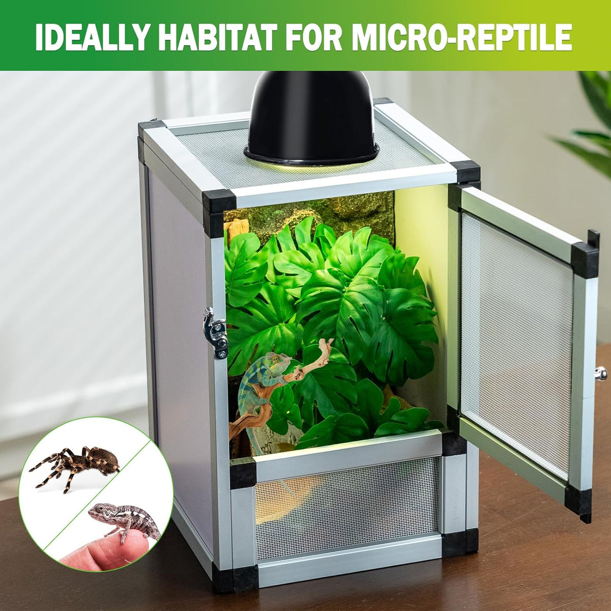 Small Reptile Cage 8" x 8" x 12", Hatching Habitat, Dual Doors, Screen & Acrylic Ventilation, Easy