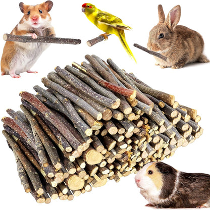 900g/2lb Small Apple Sticks Animals Molar Wood Treats Toys for Rabbits Chinchillas Guinea Pig