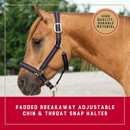 Weaver Equine Breakaway Horse Halter, Comfort Foam Padding, Adjustable Chin & Throat Snap Halters