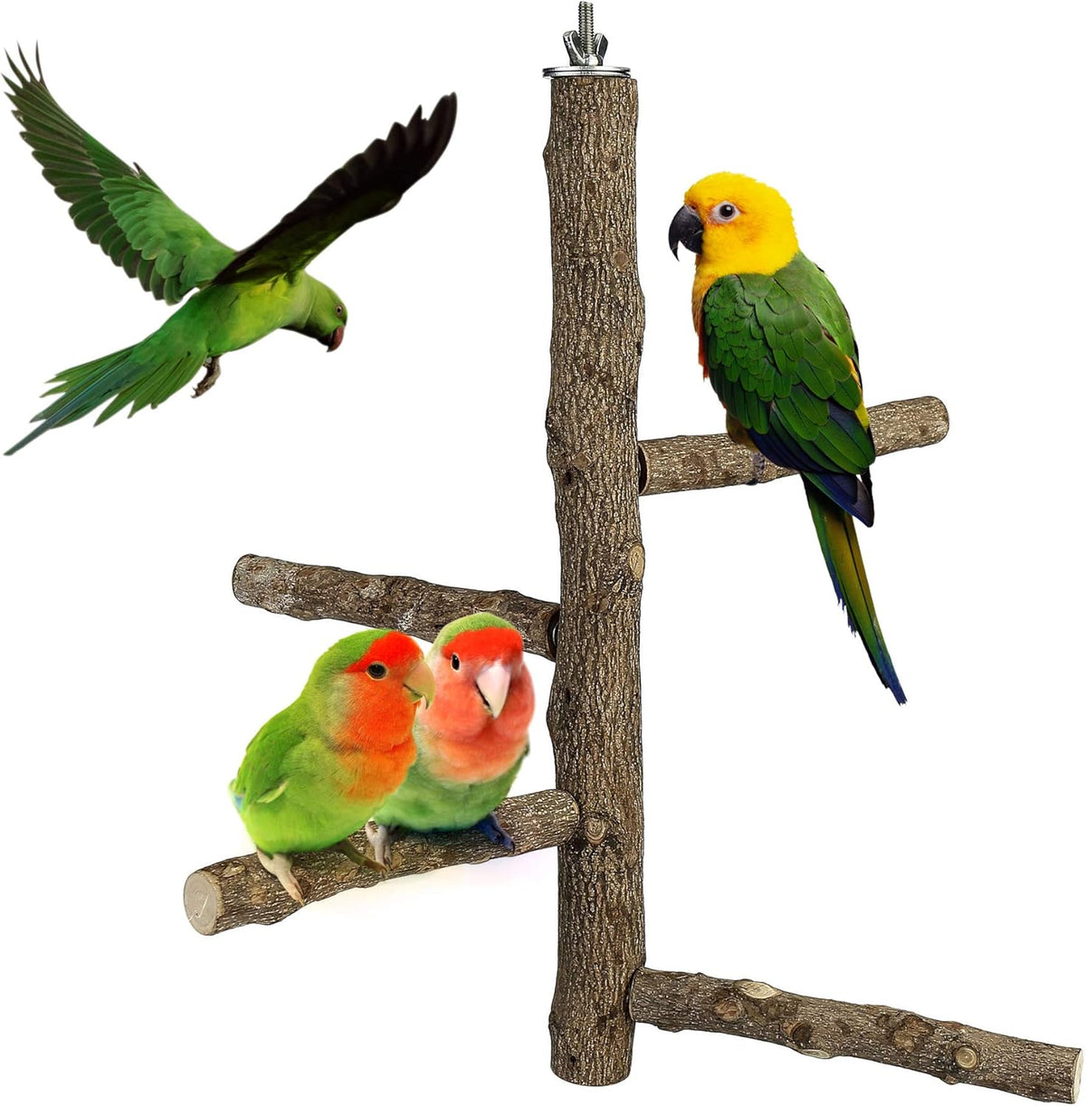 Bird Perch Stand Toy, Natural Wood Parrot Perch Bird Cage Branch Perch Accessories for Parakeets