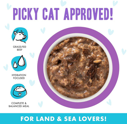 Weruva B.F.F. OMG - Best Feline Friend Oh My Gravy!, Booya! Beef & Chicken in Gravy Cat Food, 2.8oz