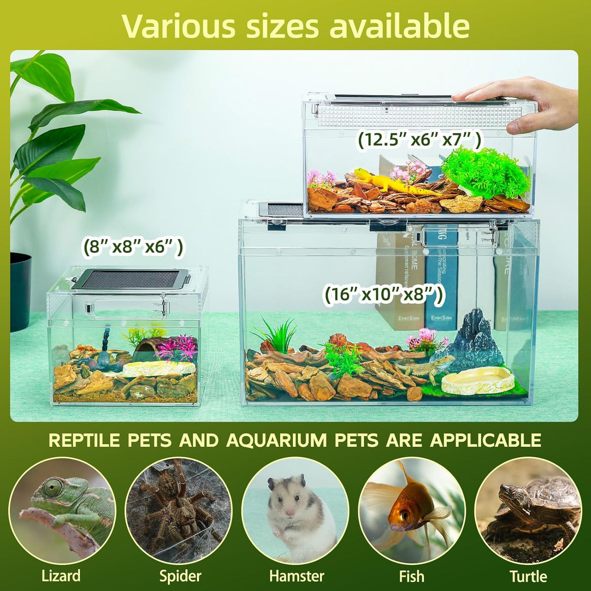 16×10×8'' Reptile Tank Kit with Heat Lamp, Spray Bottle, Shovel, Tweezers, Food Bowl, Hideout